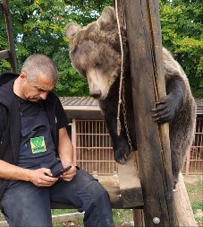Ova slika nije AI generisana nego stvarnost sa planine Ozren - medvedice Maša i Ljubica spasene od smrti, sada su prave nežnice dobrice