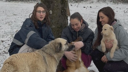  Ovo su tri herione koje godinama dobrovoljno brinu o napuštenim psima, snimak kako spasavaju uplašene životinje obišao region