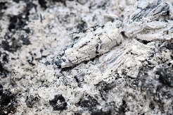 Pepeo od loženja nikad ne bacajte: Zlata je vredan, evo kako može da vam olakša život