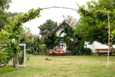 ZAŠTO SRBI NE GRADE KUĆE BEZ PROZORA I KAKO SU SE BRANILI OD VAMPIRA: Tajna srpske tradicionalne arhitekture!