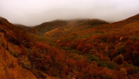 U SRBIJI JE BILO ZABRANJENO ZVATI IH GLASNO: Tajna o vilama sa Radan planine i zašto su se plašile metala i soli