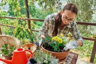Ovaj trik spašava vaše cveće od mraza! Ne košta ni dinara, a biljke će vam večno zahvaljivati
