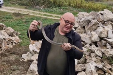 Zašto se zmije pojavljuju u oktobru u Srbiji? Naš zmijolovac ima odgovor, šokiraće vas prava istina