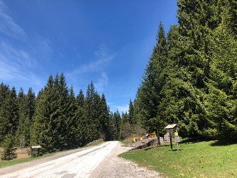 Ova planina u Srbiji je jako posebna: Poznata je po izvorima čiste, hladne, planinske vode