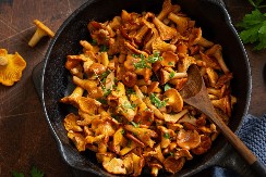 Zlatni zalogaji iz šume – stari recepti sa lisičarkama