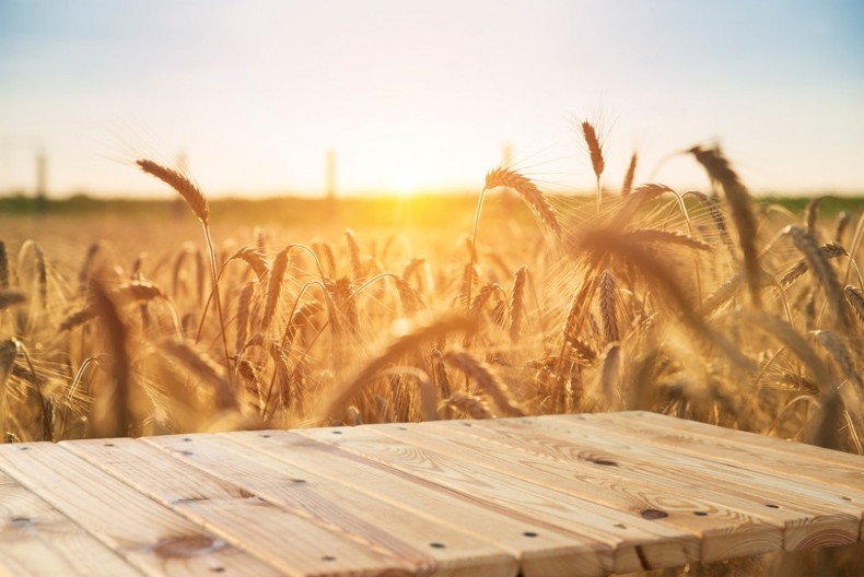 Miholjsko leto i običaji poslednje kosidbe: Kako su se naši preci opraštali od leta uz pesmu, pokošenu travu i rakiju