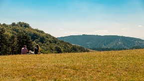 Planina Ravna Gora: prirodna apoteka i istorijski simbol Srbije