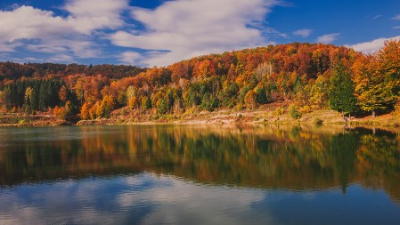 Ova planina u Srbiji je spas za oči, pluća i dušu: Neverovatnu prirodu krase šume stare 200 godina