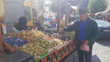 HIT U SRPSKOJ TOSKANI: Za kilogram grožđa u Topoli traže 200 dinara, ali se razgrabilo za par sati! Ovoliko košta najskuplje vino (FOTO)