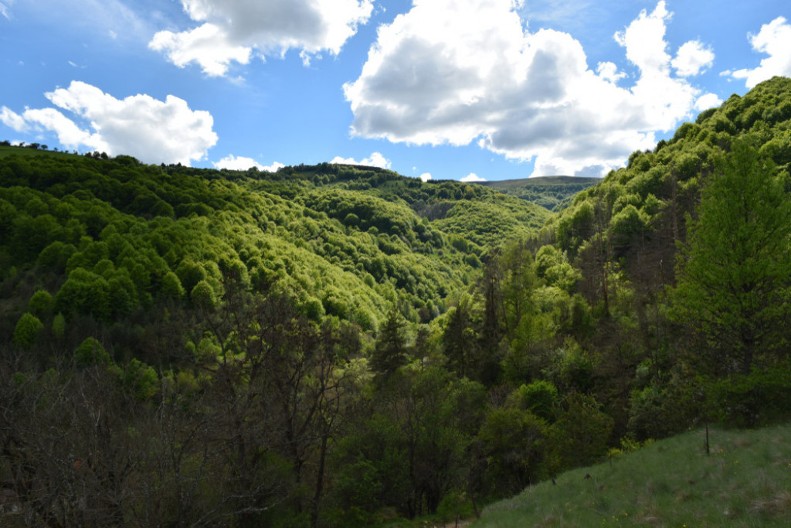 Lisina – zaboravljeni balkon Kopaonika gde ljudi i stoka još dele krov