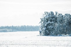 Tupižnica zimi: Pogled od Rtnja do Stare planine, a ispod tebe – snežno prostranstvo