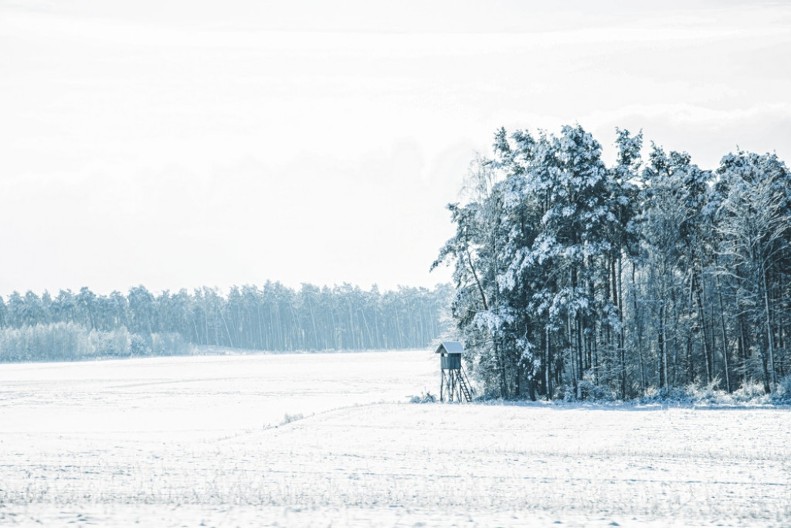 Tupižnica zimi: Pogled od Rtnja do Stare planine, a ispod tebe – snežno prostranstvo