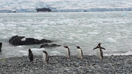  Naučnik Aleksandar duže od mesec dana na istraživačkom brodu na Antarktiku - nestvarni prizori oduzimaju dah 