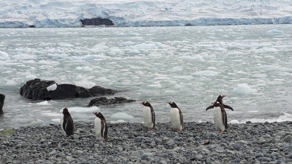  Naučnik Aleksandar duže od mesec dana na istraživačkom brodu na Antarktiku - nestvarni prizori oduzimaju dah 