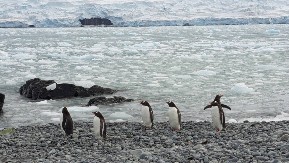  Naučnik Aleksandar duže od mesec dana na istraživačkom brodu na Antarktiku - nestvarni prizori oduzimaju dah 