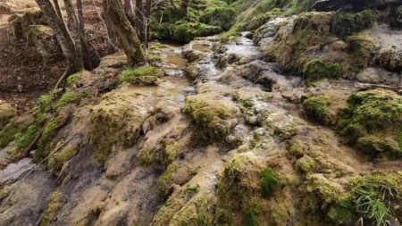 Ovo je srpska prestonica sremuša: Podno planine Povlen ušuškala su se Taorska vrela - rajski prizori iz ovog sela privlače na hiljade turista