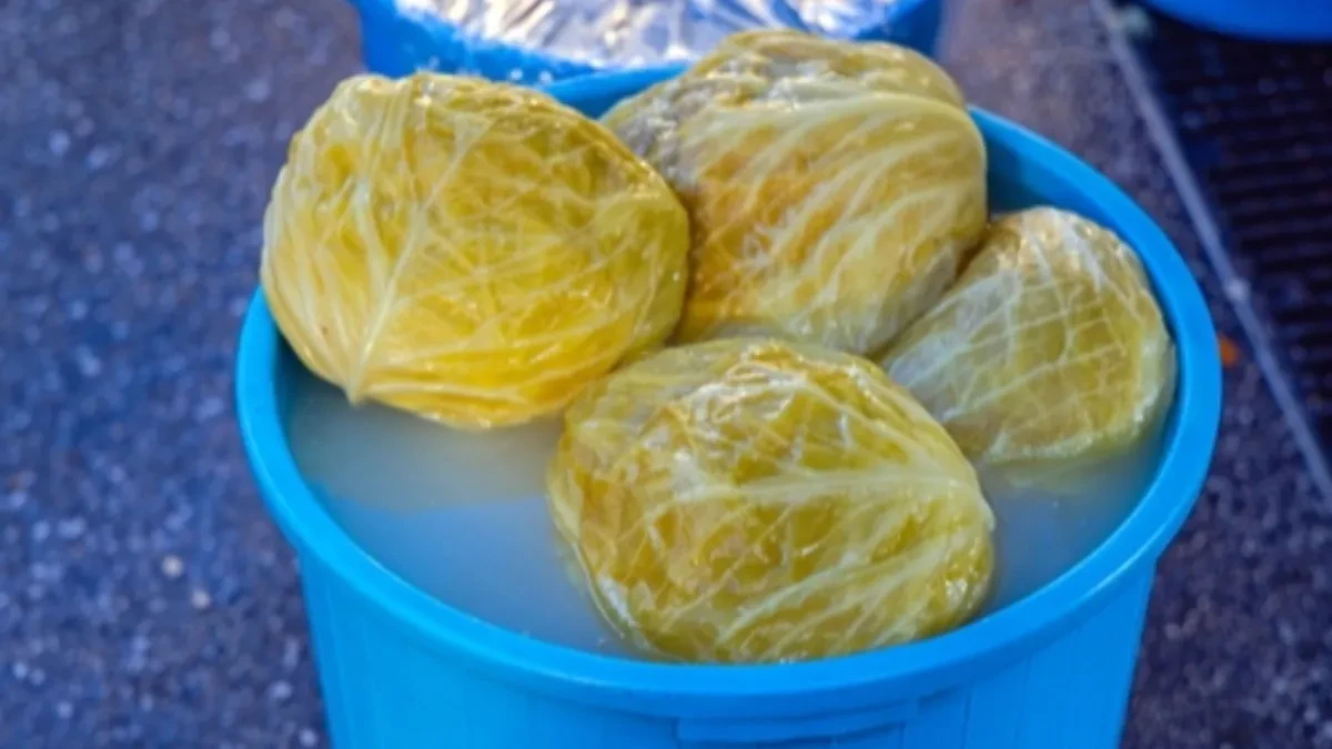 KAKO NEMCI KISELE KUPUS: Ovo je jedini recept koji koriste - uvek dodaju 2 sastojka koja ga čine jedinstvenim