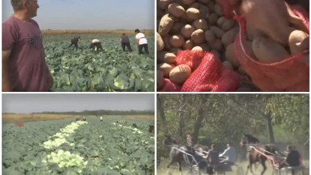 Ovo selo u Srbiji je država u državi! Sami grade škole i puteve: Svi rade i odlično zarađuju!