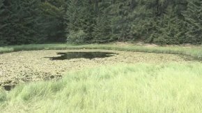 Ovo jezero nema obale, a legenda kaže da su u njega upali svatovi i utopili se: Skriveni biser Golije izgleda kao sa razglednice