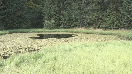 Ovo jezero nema obale, a legenda kaže da su u njega upali svatovi i utopili se: Skriveni biser Golije izgleda kao sa razglednice