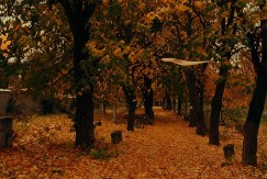 Šta znači kada vas pokojnik u snu pozove da POĐETE SA NJIM?