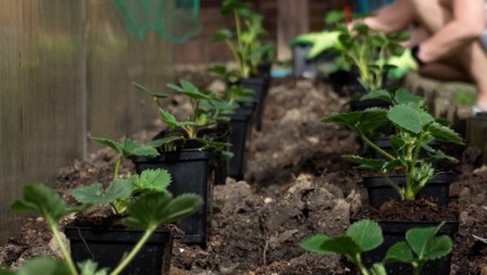 Ovo su najisplativiji poslovi koji donose odličan prihod