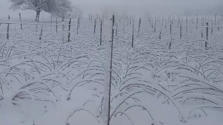 Sneg okovao Ivanjicu: Putevi prohodni ali ponovo manji problemi sa strujom 