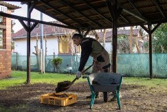 Kako pripremiti zemlju za sadnju cvetova u februaru i martu: Korak po korak