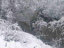 Vozilo u kom su bile četiri žene sletelo u reku, izvlačili ih meštani i vatrogasci-spasioci 