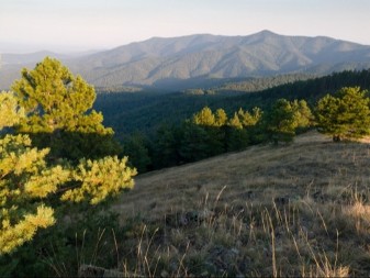 Običaj „prisluškivanja vetra“ kod manastira Sveti Jovan na Ozrenu – tiha molitva za sudbinu udavače