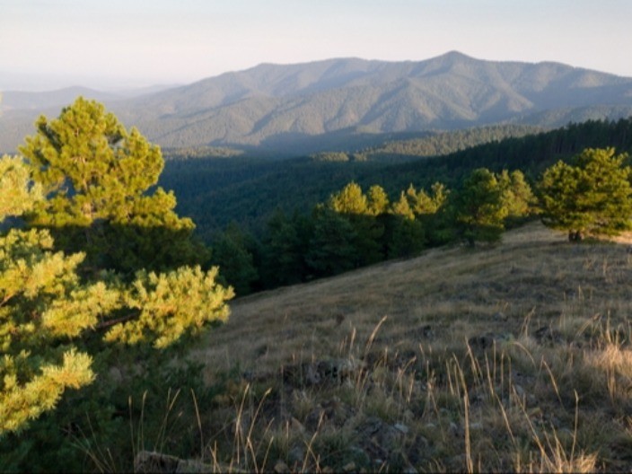 Običaj „prisluškivanja vetra“ kod manastira Sveti Jovan na Ozrenu – tiha molitva za sudbinu udavače