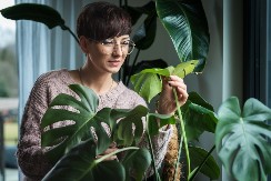 4 sobne biljke čiste vazduh i spašavaju zdravlje: Lake za održavanje, a miris će vas oduševiti (FOTO)