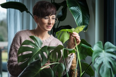 4 sobne biljke čiste vazduh i spašavaju zdravlje: Lake za održavanje, a miris će vas oduševiti (FOTO)