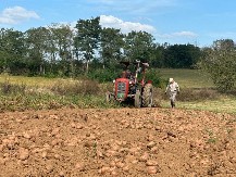 Čačanski čips među najpopularnijim u regionu, ali da bi bilo čipsa mora biti krompira