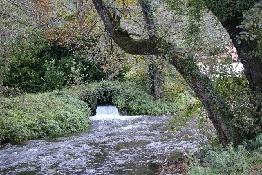  Vrelo izvire podno Tare i najkraća je reka u Evropi, evo koliko je dugačka 