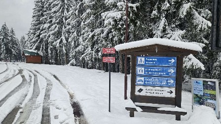 Skoro 20 centimetara novog snega - zimska idila na Zlataru usred marta: Mehanizacija na terenu, a putevi pročišćeni