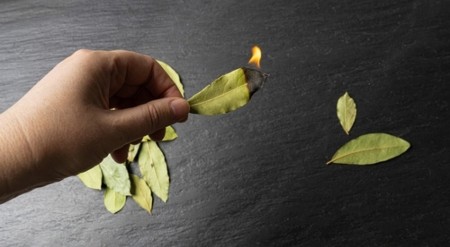 Lovor – samo zapali 1 list ovako i gledaj kako se sreća u kući menja