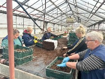 Na radnom mestu u plasteniku smo već u pola sedam: Ovi ljudi spremaju sadnice koje će ulepšati grad