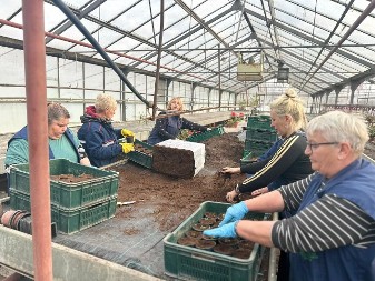 Na radnom mestu u plasteniku smo već u pola sedam: Ovi ljudi spremaju sadnice koje će ulepšati grad
