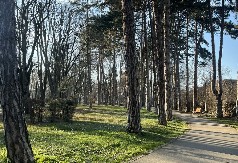 Dva najlepša parka u centru Čačka konačno dobijaju imena: Zvaće se po nikad zaboravljenim Sonji Savić i malenoj Milici Rakić