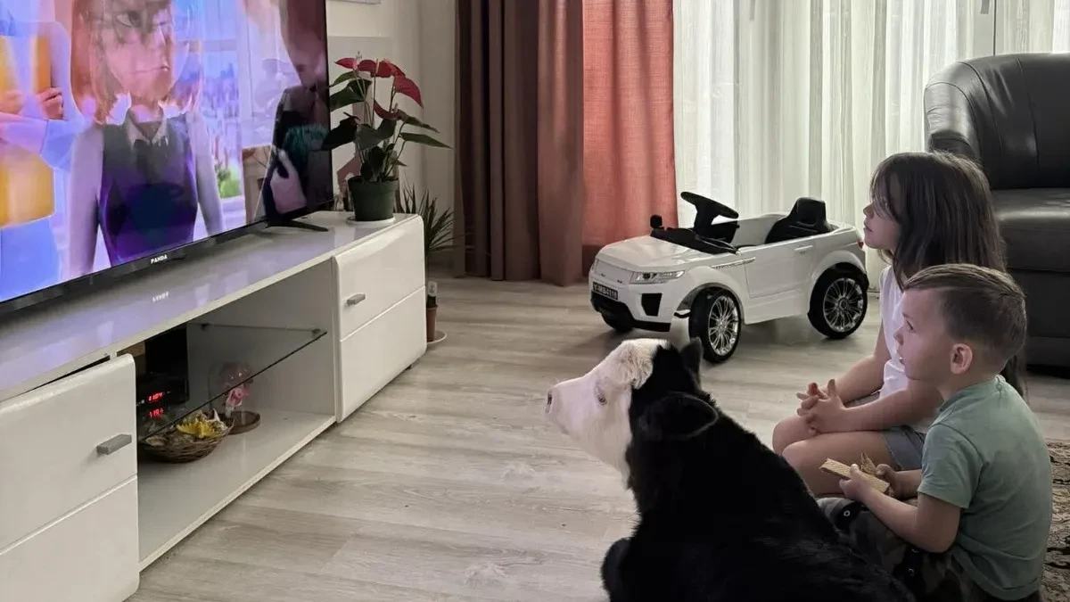 Telence sa decom gleda crtane - slabašno i smrznuto iz štale ga uneli u kuću, sada postalo miljenik svih