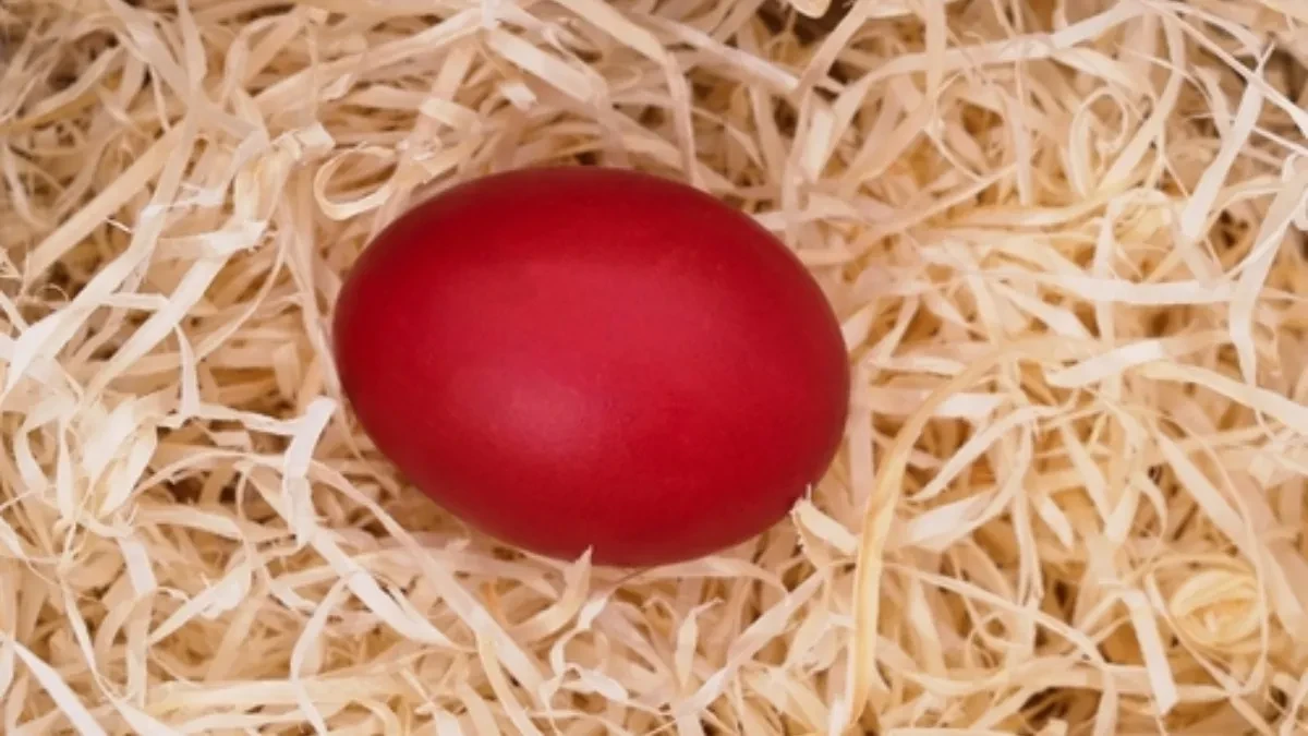 Nikako nemojte bacati prošlogodišnju čuvarkuću: Evo šta treba uraditi sa njom kako bi vas pratila sreća cele godine