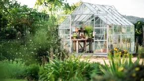 6 vrsta drveća u dvorištu koja mogu da unište kuću: Jako je važno da se ne sade u blizini nje