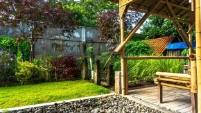 Idealno drvo za mala dvorišta: Daje sočne plodove, ima divan cvet, korenje je plitko, a hlad bajkovit