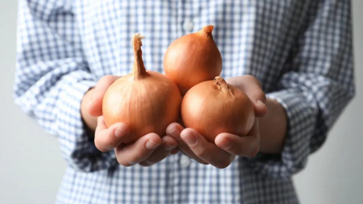 Nikako ne bacajte ljuske od crnog luka: Napravite prirodni lek koji jača imunitet i čisti krvne sudove