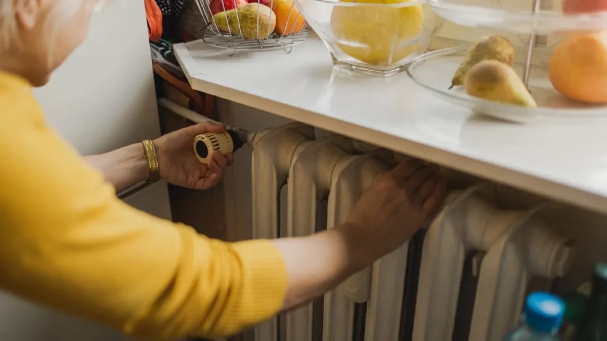 Hladan talas promenio planove: Ponovo će biti topli radijatori - nadležno preduzeće u pripravnosti