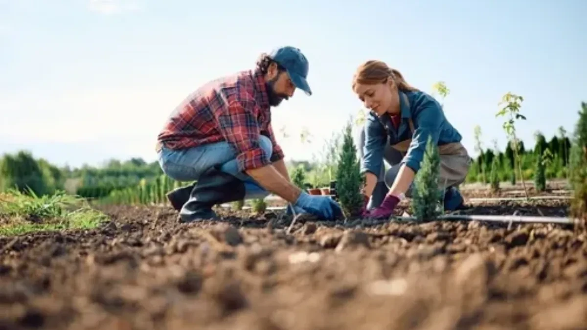 Kako pametno isplanirati sadnju tokom maja, juna i jula: Cvetanje će trajati neprekidno, bez „praznih“ perioda