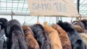 Žene u Srbiji su poludele za njima, ogledaju se, bacaju pare: Ovde bunde koštaju 100 evra, a neke i 2.000 dinara!