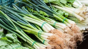 5 razloga zašto svaki dan treba jesti mladi luk