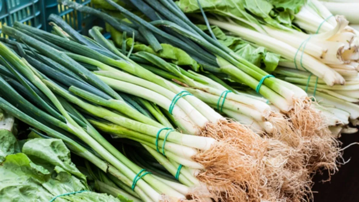 5 razloga zašto svaki dan treba jesti mladi luk